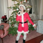 Dina's Holiday World
